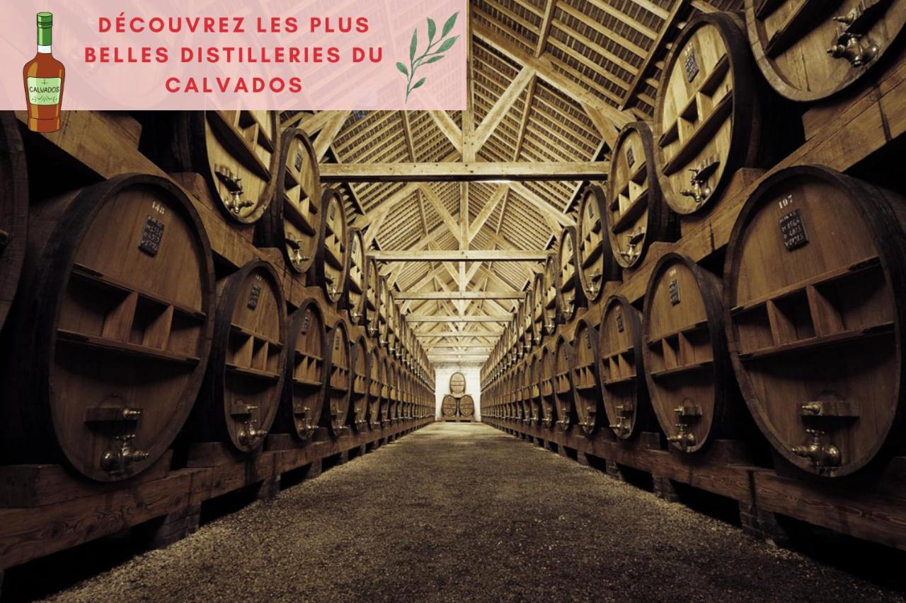 Suite Jungle - Jardin, Netflix Et Parking - Le Manoir Aux Pommes Orbec エクステリア 写真